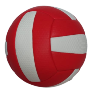 professional training volleyball